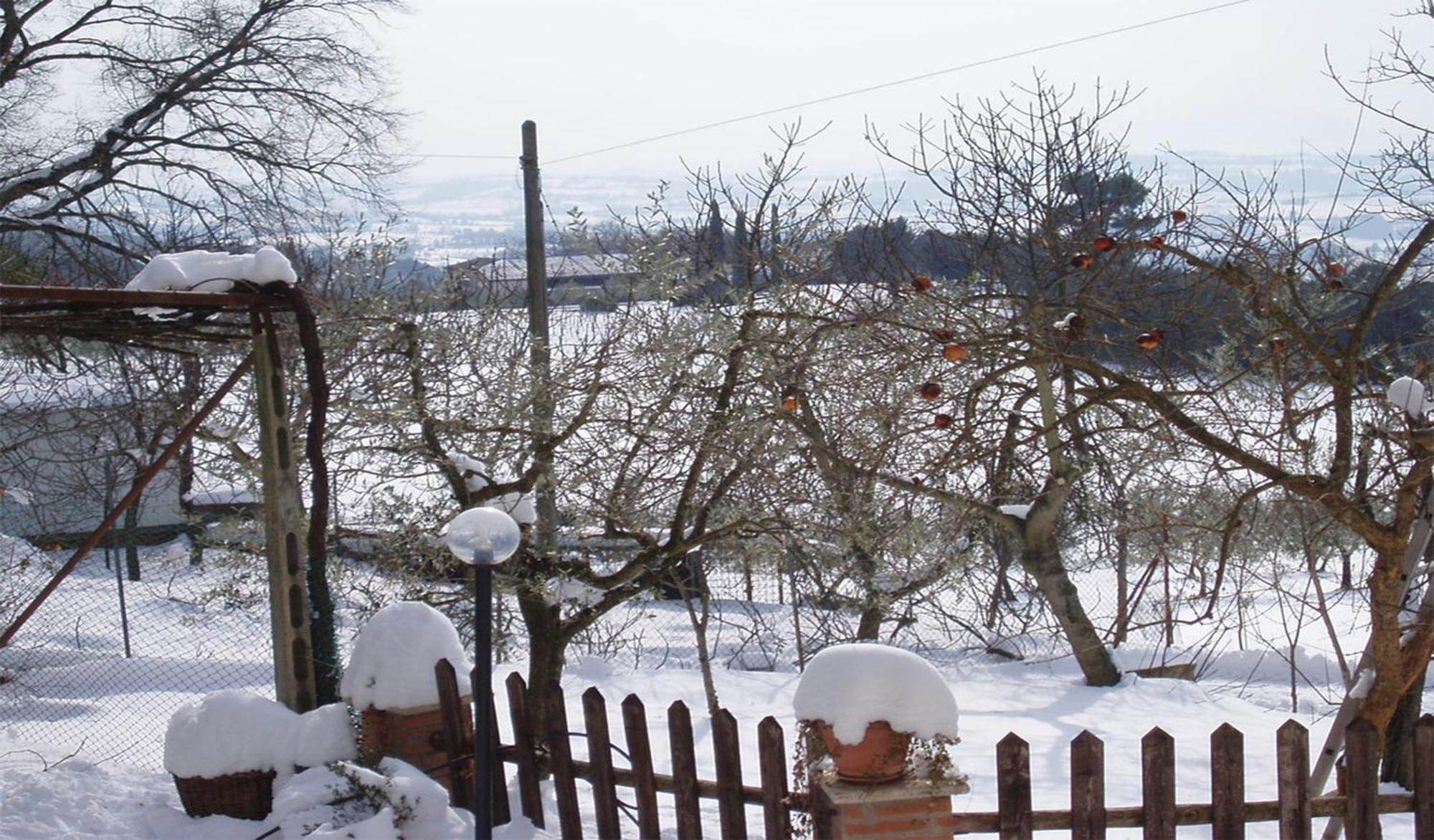 Belvedere Cramaccioli Vigne Exterior photo