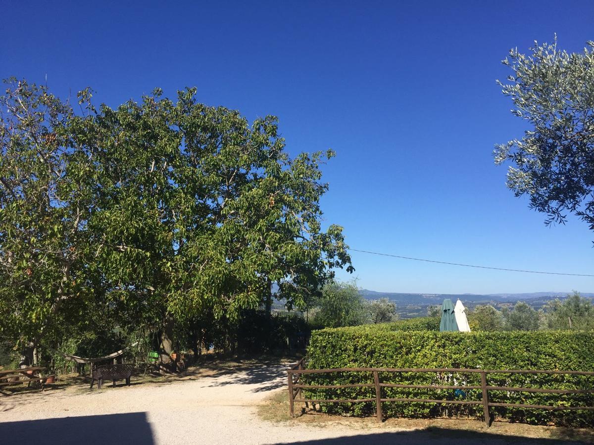 Belvedere Cramaccioli Vigne Exterior photo